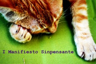 I Manifiesto Sinpensante