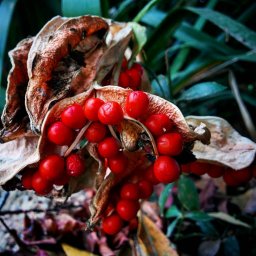 Mis fotos Instagram