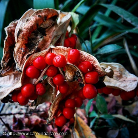 Mis fotos Instagram