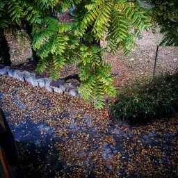Mis fotos Instagram