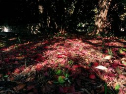 Mis fotos Instagram