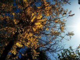 Mis fotos Instagram