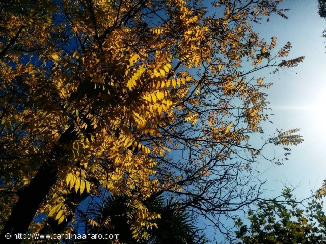 Mis fotos Instagram