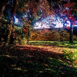 Mis fotos Instagram