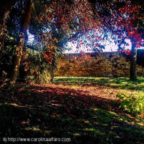 Mis fotos Instagram