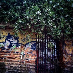 Mis fotos Instagram