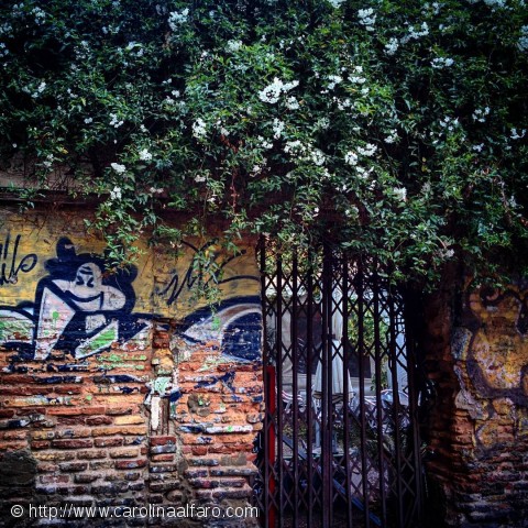 Mis fotos Instagram