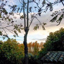 Mis fotos Instagram
