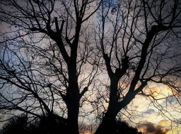 Mis fotos Instagram