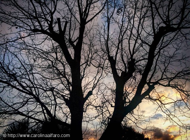 Mis fotos Instagram