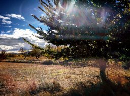 Mis fotos Instagram